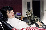 Untermieter auf vier Beinen - Hauskatze