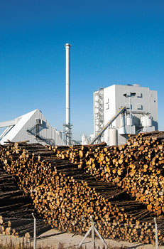 Holzstapel an einem Biomassekraftwerk