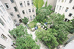 Begr&uuml;nter Berliner Hinterhof