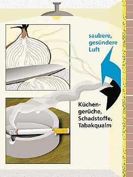 Zerschneiden einer Zwiebel und qualmende Zigarette in einem Aschenbecher - neue Wandfarbe absorbiert Gerüche