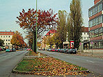 Die Ollenhauerstra&szlig;e hie&szlig; fr&uuml;her Berliner Stra&szlig;e