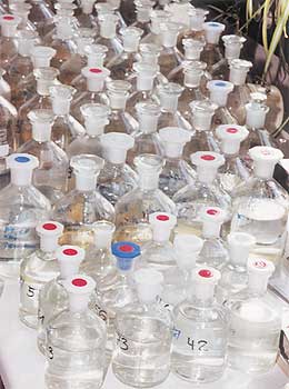 Glasbehälter mit Wasserproben