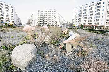 Landschaftsplaner Köppler kümmert sich um die Grünfläche am Bersarinplatz
