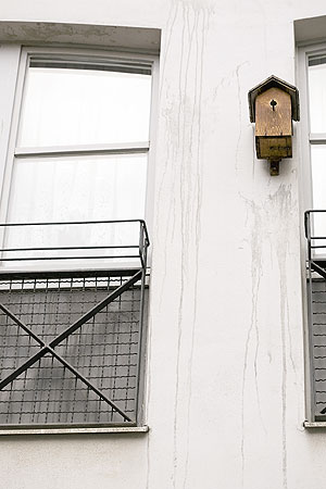 Vogelnistkasten aus Holz an einer Gebäudefassade aus Beton