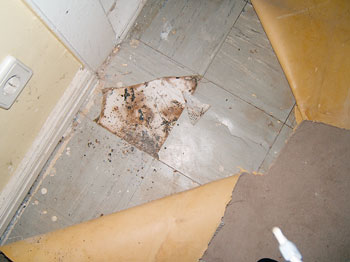 Fußboden aus asbesthaltigen Floor-Flex-Platten