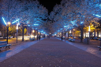 Kunstvoll beleuchtete Bäume auf der Straße Unter den Linden