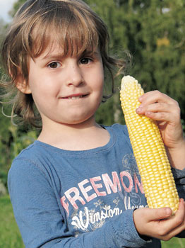 Kind mit Maiskolben im Bauerngarten Havelmathen
