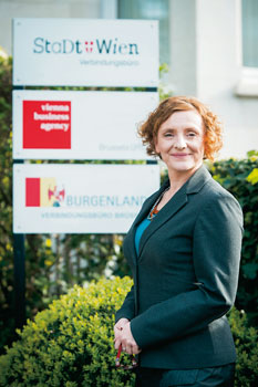 Michaela Kauer, Wiener EU-Beauftragte