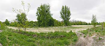 Freies Gelände mit Bäumen: Bauplatz der 'Möckernkiez Genossenschaft' auf dem Gleisdreieck