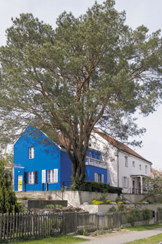 Gartenstadt Falkenberg: blaues Haus