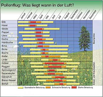 Grafik 'Pollenflug-Kalender' - was liegt wann in der Luft?