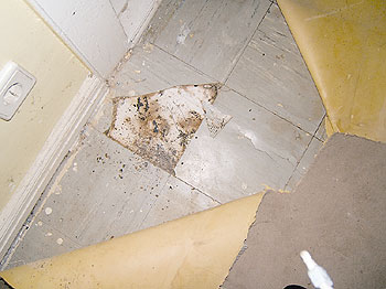 Zerbrochene asbesthaltige Floor-Flex-Platte