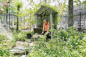 'Liz Christy Garden' ist der älteste der New Yorker Gärten - und Donald Loggins war von Anfang an dabei