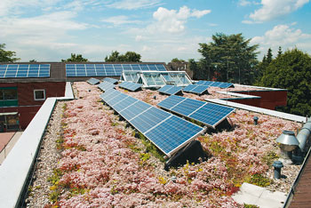 Solaranlagen auf begrüntem Flachdach