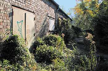 Jugendclub-Ruine in der Lichtenberger Dorfstraße