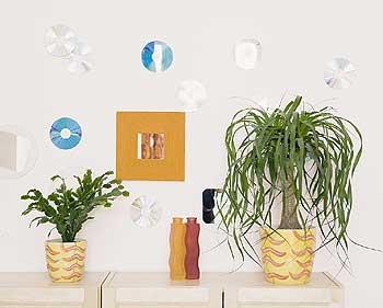 Pflanzen auf einem Sideboard