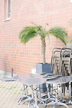Gartenmöbel und eine Palme vor einer rotgekachelten Häuserwand
