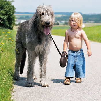 Kleines Kind mit großem Hund