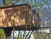Baumhaus