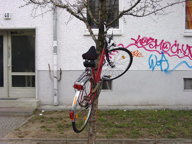 Rad hängt im Baum