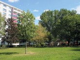 Grünfläche in Friedrichshain