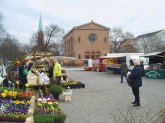 Wochenmarkt auf dem Leopoldplatz
