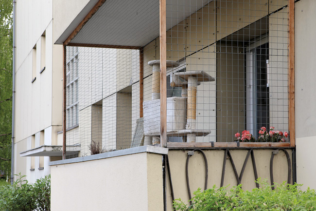 Katzenbalkon mit Maschendrahtsicherung