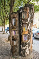 Baumstamm mit Bücherfächern Baumstamm mit Bücherfächern