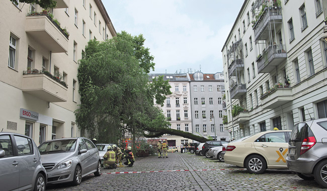 Auf eine Fassade in der Neuköllner Wissmannstraße gestürzter Baum