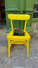 Rote Blumen, eingelassen in einen gelben Stuhl vor grünem Sims