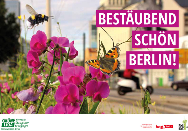 Titelseite der Broschüre , Bestäubend schön Berlin!‘