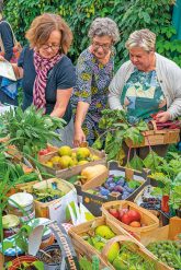 Geerntetes Obst und Gemüse