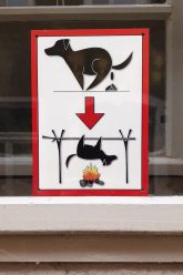 Foto des Monats Oktober 2021