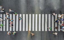 Luftaufnahme: Personen auf einem Zebrastreifen