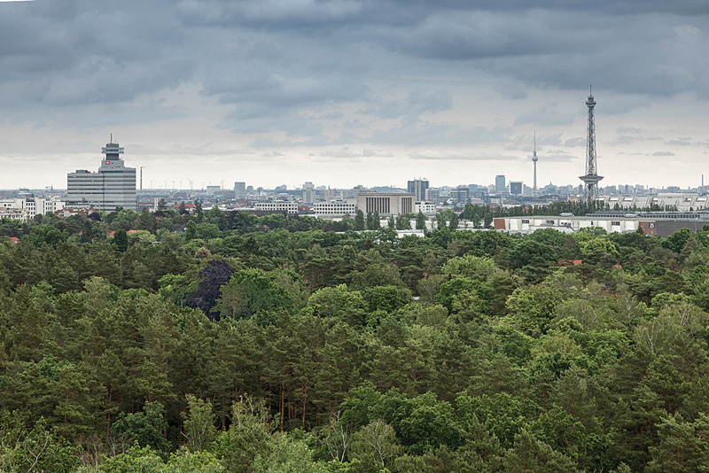 Grunewald, im Hintergrund die Berliner Skyline