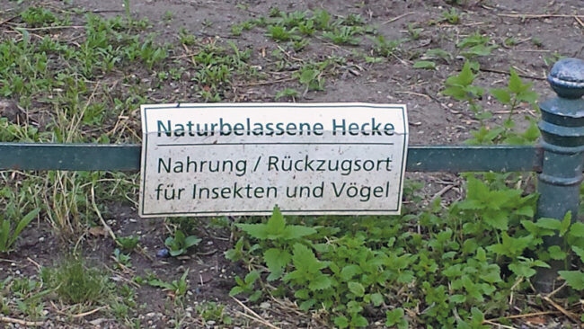 Schild "Naturbelassene Hecke" 