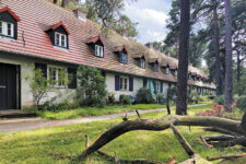 Häuserreihe der Siedlung mit gepflegter Bepflanzung und altem Baumbestand